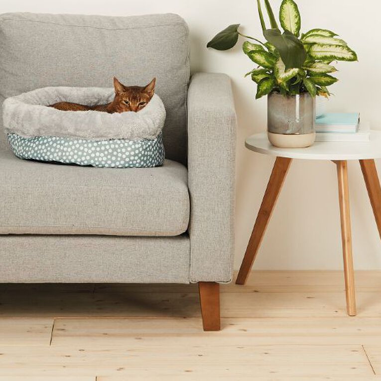 Petzone Plastic Cat Bowl Charcoal, , hi-res