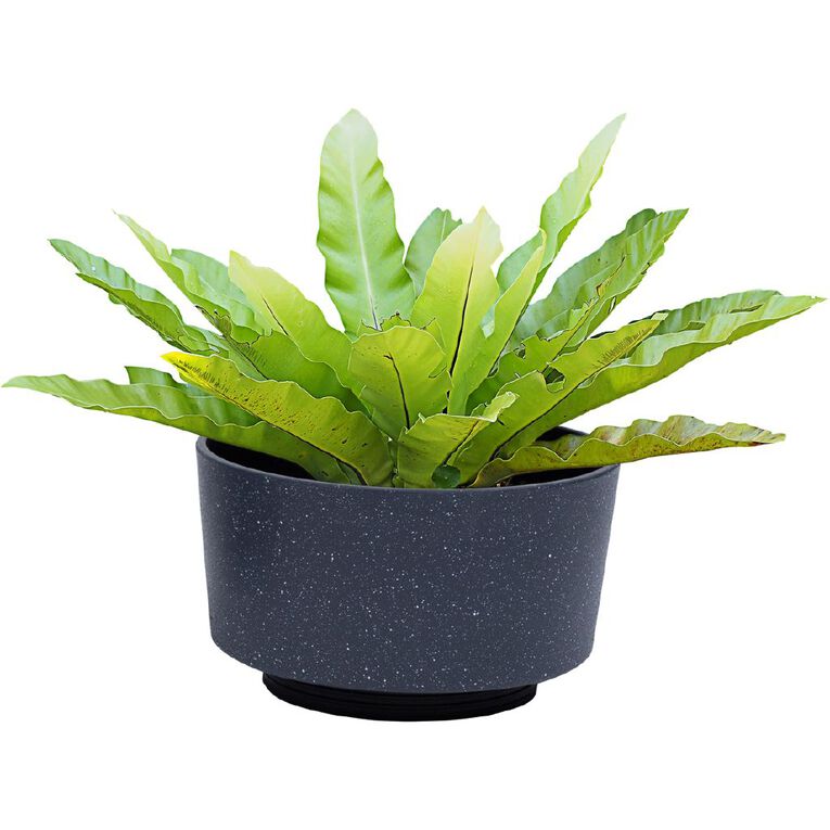 Kiwi Garden 2 in 1 Planter 36cm x 42cm Grey, , hi-res