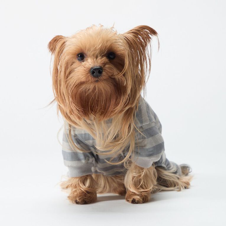 Petzone Pet Pyjamas Stripe# Grey Small, , hi-res