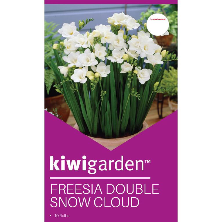 Kiwi Garden Freesia Double Snow Cloud 10PK, , hi-res