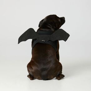 Scarehouse Halloween Pet Bat Costume