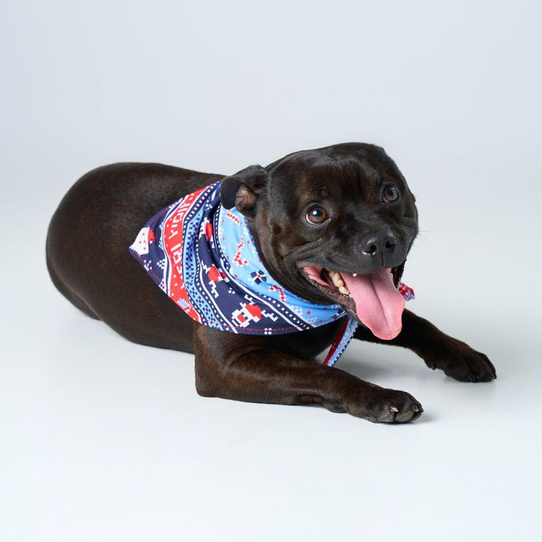Wonderland Pet Christmas Bandana Assorted, , hi-res