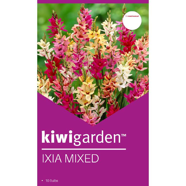 Kiwi Garden Ixia mixed 10PK, , hi-res