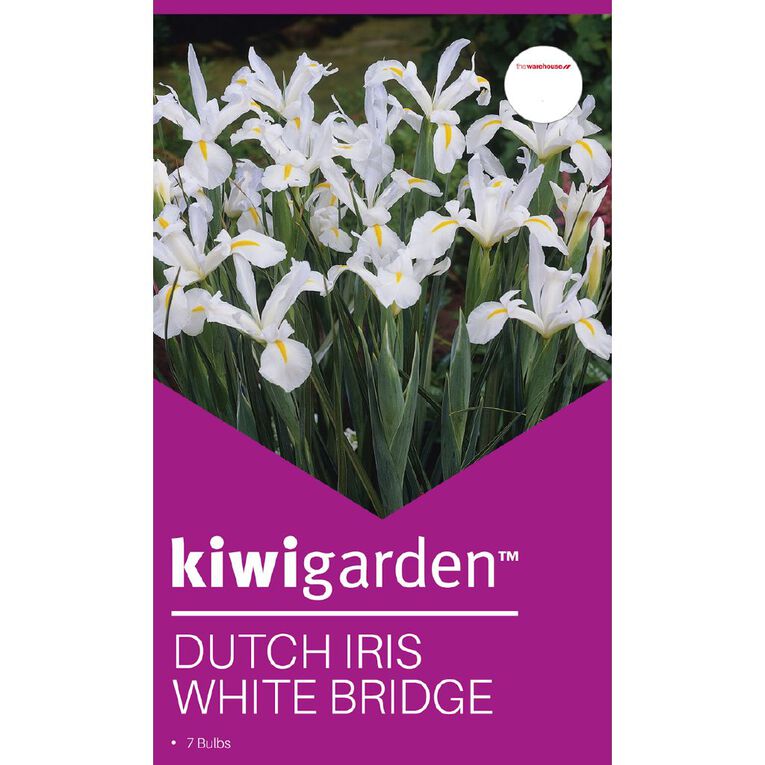 Kiwi Garden Dutch Iris White Bridge 7 bulbs, , hi-res