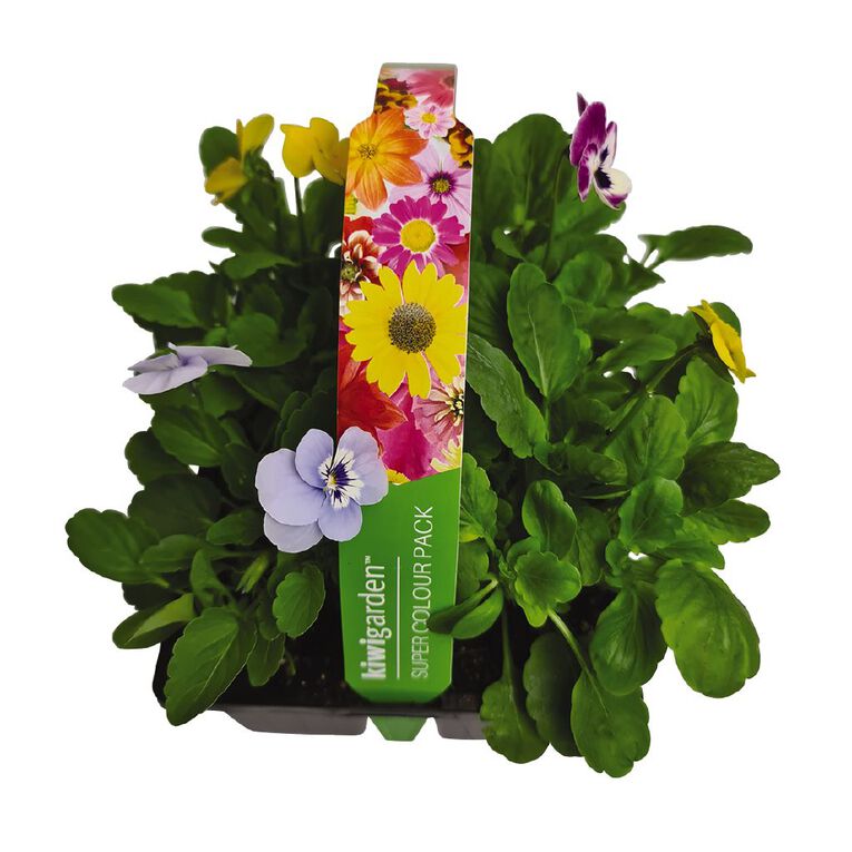 Super Colour 4 Pack, , hi-res