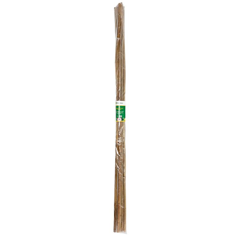 Bamboo Garden Stakes Nz Fasci Garden
