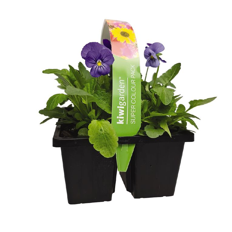 Super Colour 4 Pack, , hi-res