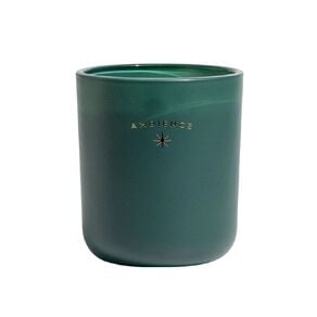 Living & Co Ambience Scented Candle Jar Tree Spice 13oz