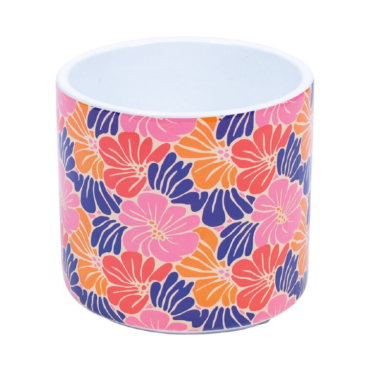 Kiwi Garden Indoor Pot 16cm x 16cm x 15.5cm Assorted, , hi-res