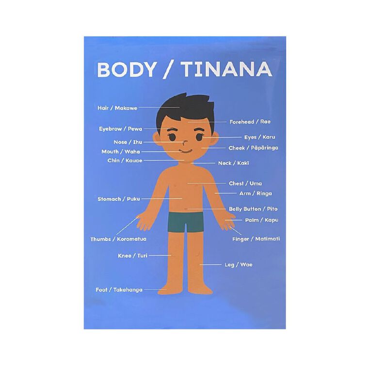 Educational Poster The Body 60cm x 90cm, , hi-res