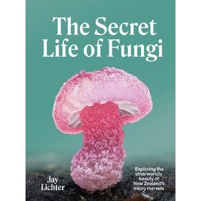 The Secret Life Of Fungi by Jay Lichter