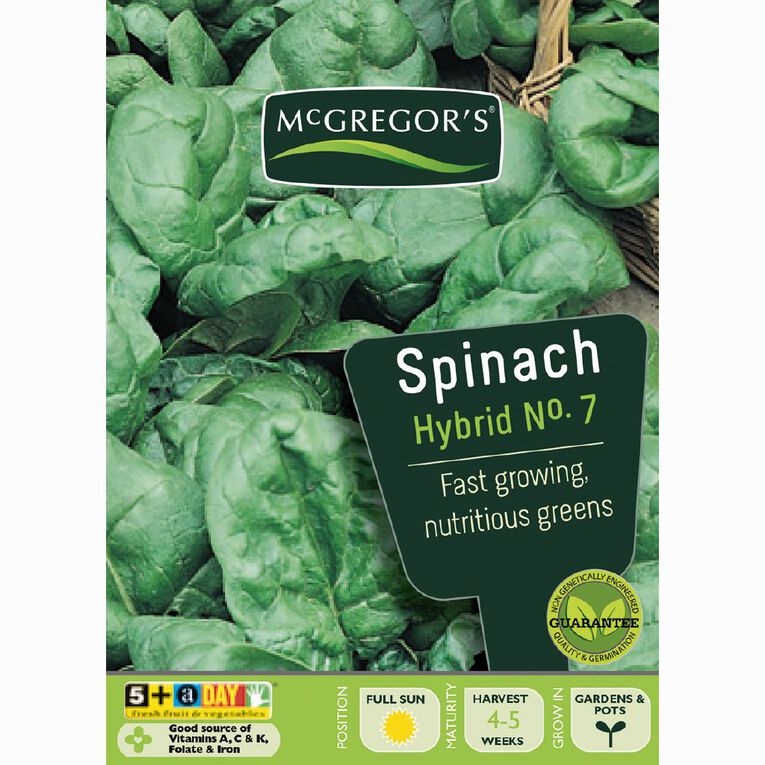 McGregor's Hybrid No.7 Spinach Vegetable Seeds, , hi-res