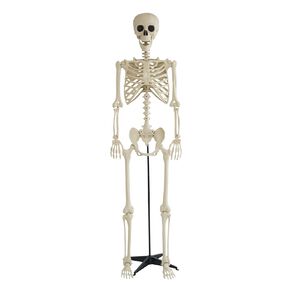 Scarehouse Towering Skeleton with Stand