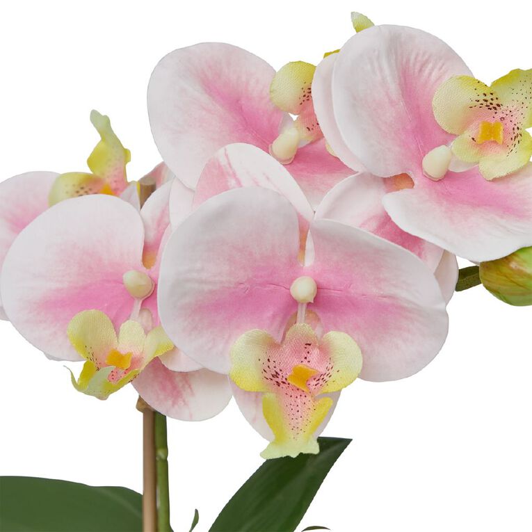 Botanica Artificial 30cm Orchid in Pot, , hi-res
