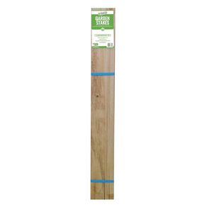 MLC Seedling Stakes 600mm 24 Pack