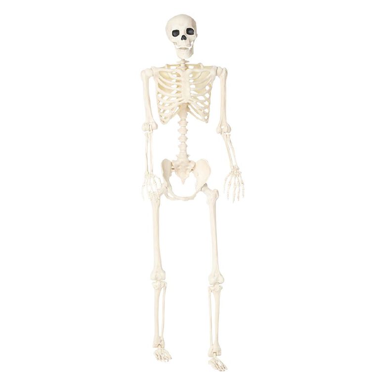 Seasons Life Size Poseable Skeleton Decoration 152cm, , hi-res