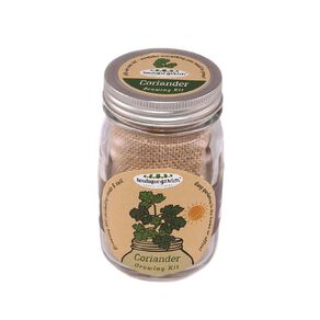 Boutique Garden Mason Jar Grow Kit Coriander