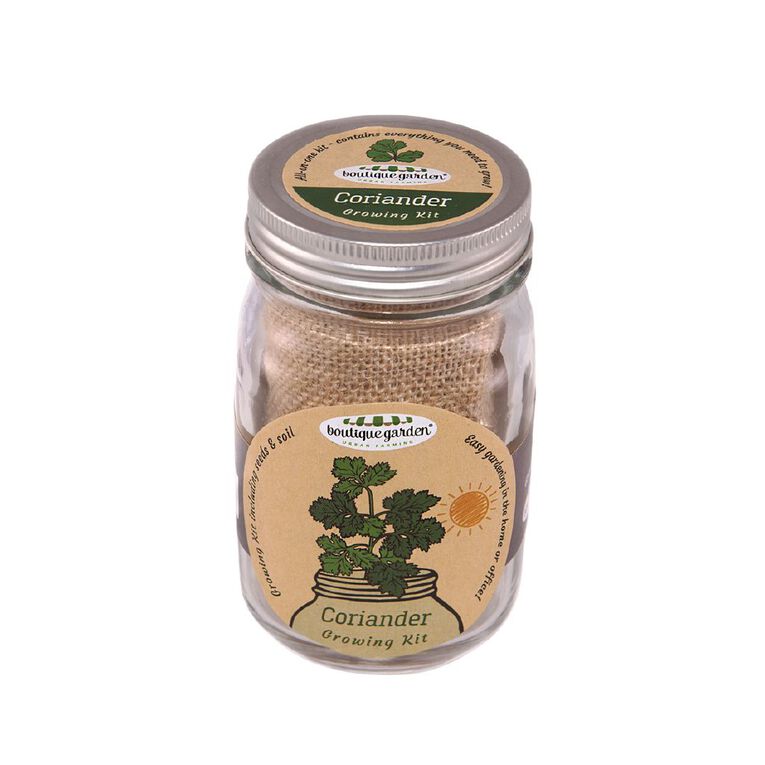 Boutique Garden Mason Jar Grow Kit Coriander, , hi-res