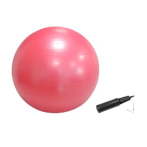 Active Intent Fitness Gym Ball 55cm