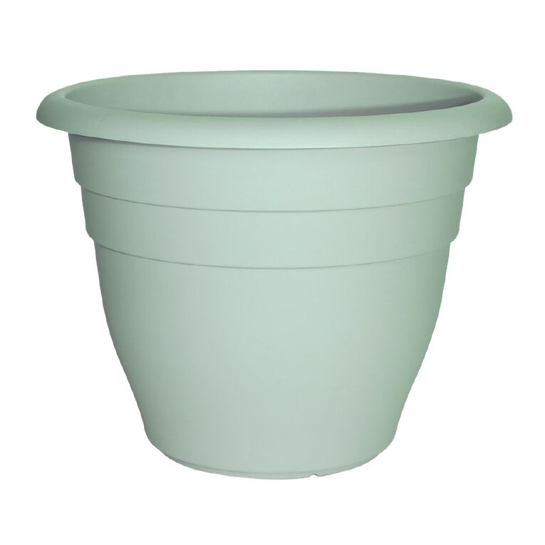 Kiwi Garden Kiwi Garden Assorted 50cm Assorted, , hi-res