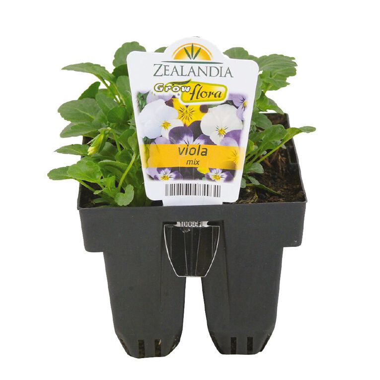 Growflora Viola Mix, , hi-res