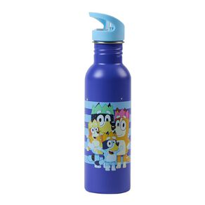 Bluey Stainless Steel Bottle 750ml