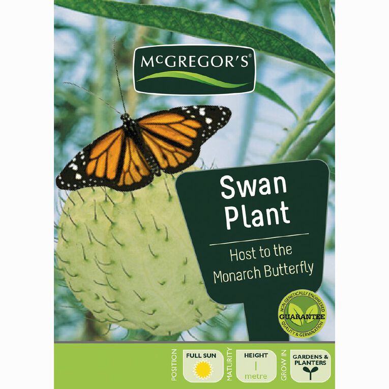 McGregor's Swan Plant Flower Seeds, , hi-res