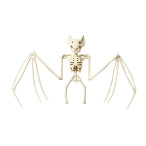 Scarehouse Bat Skeleton