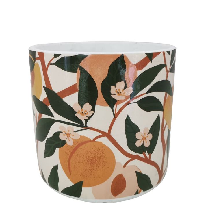 Kiwi Garden Indoor Pot 16cm x 16cm x 15.5cm Assorted, , hi-res