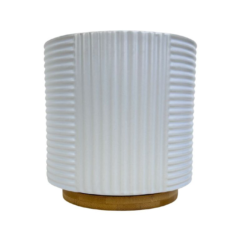 Kiwi Garden Bamboo Base Pot, , hi-res