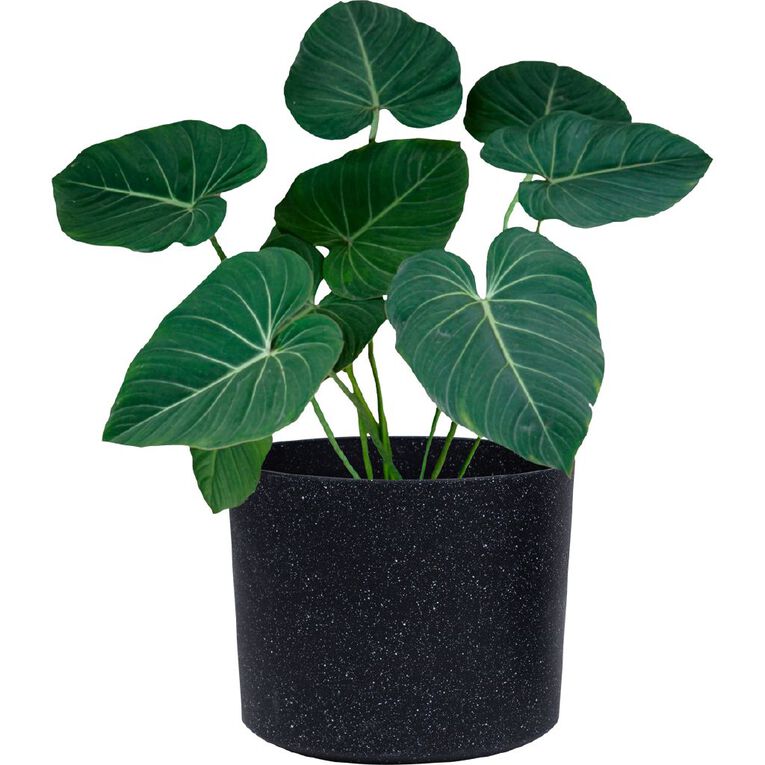 Kiwi Garden 2 in 1 Planter 36cm x 42cm Black, , hi-res