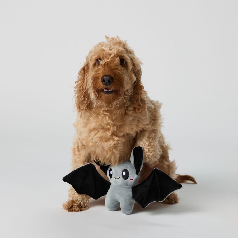 Scarehouse Bat Pet Toy, , hi-res