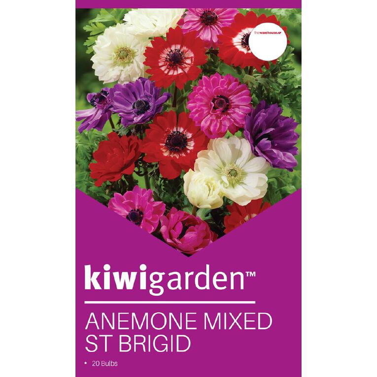 Kiwi Garden Anemone Mixed St Brigid 20 bulbs, , hi-res