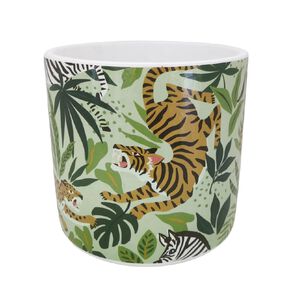Kiwi Garden Indoor Pot 16cm x 16cm x 15.5cm Assorted