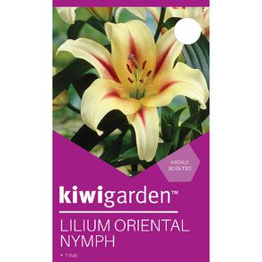Kiwi Garden Lilium Oriental Nymph 1 Pack