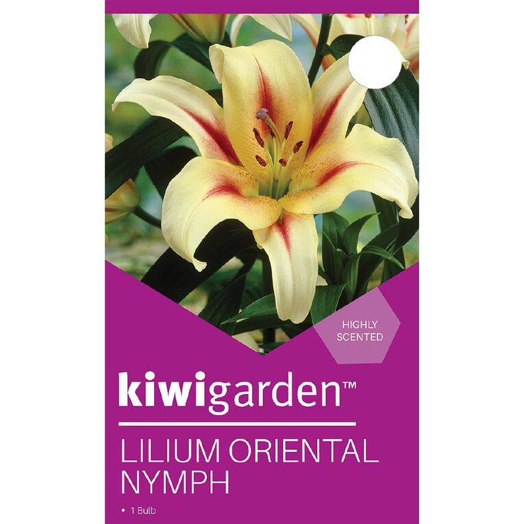 Kiwi Garden Lilium Oriental Nymph 1 Pack, , hi-res