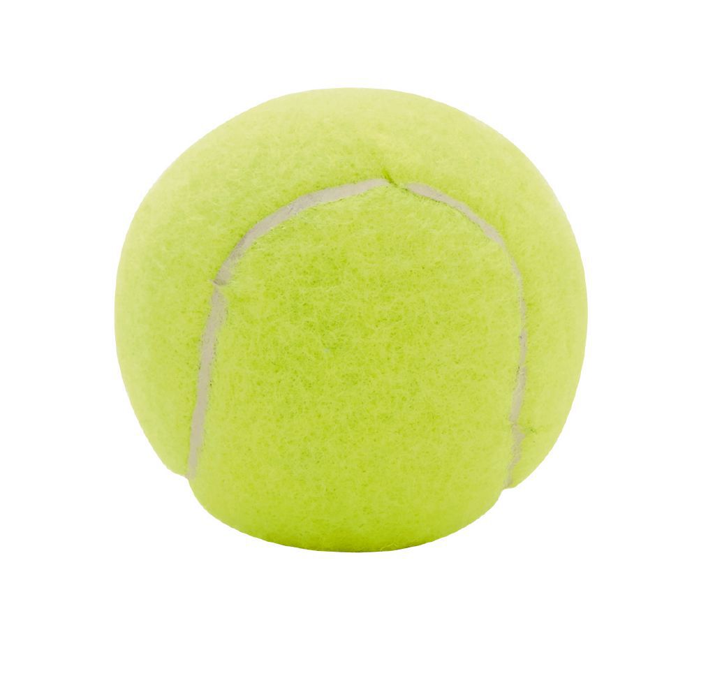 The warehouse tennis balls clearance