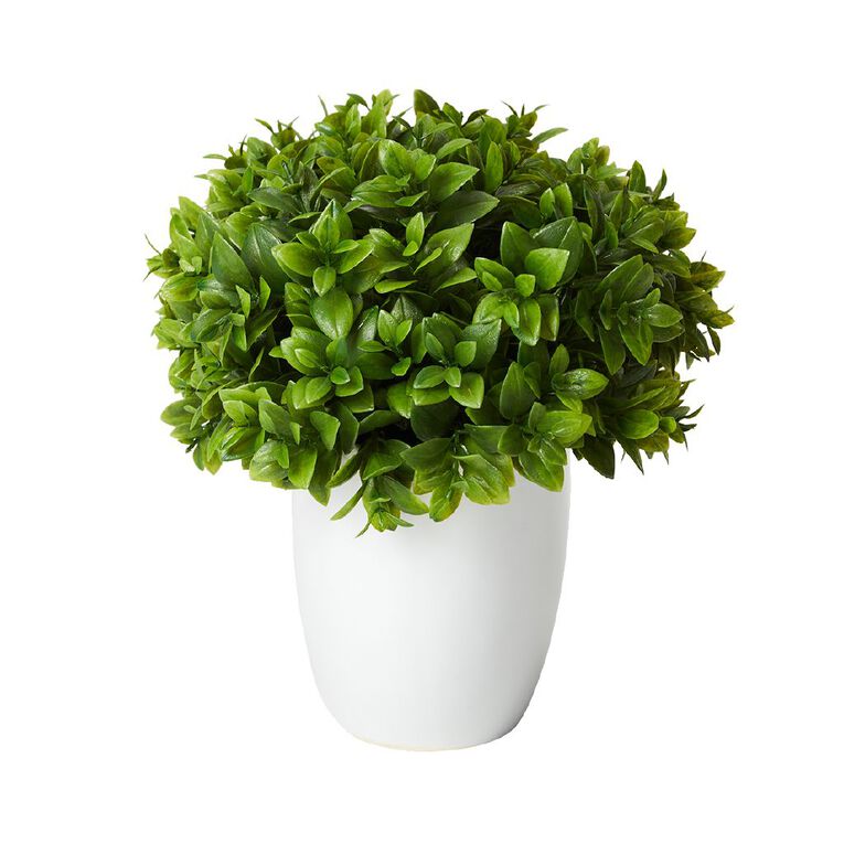 Living & Co Artificial Buxus Potted Plant White Leaf Green Dark Green Dark The Warehouse