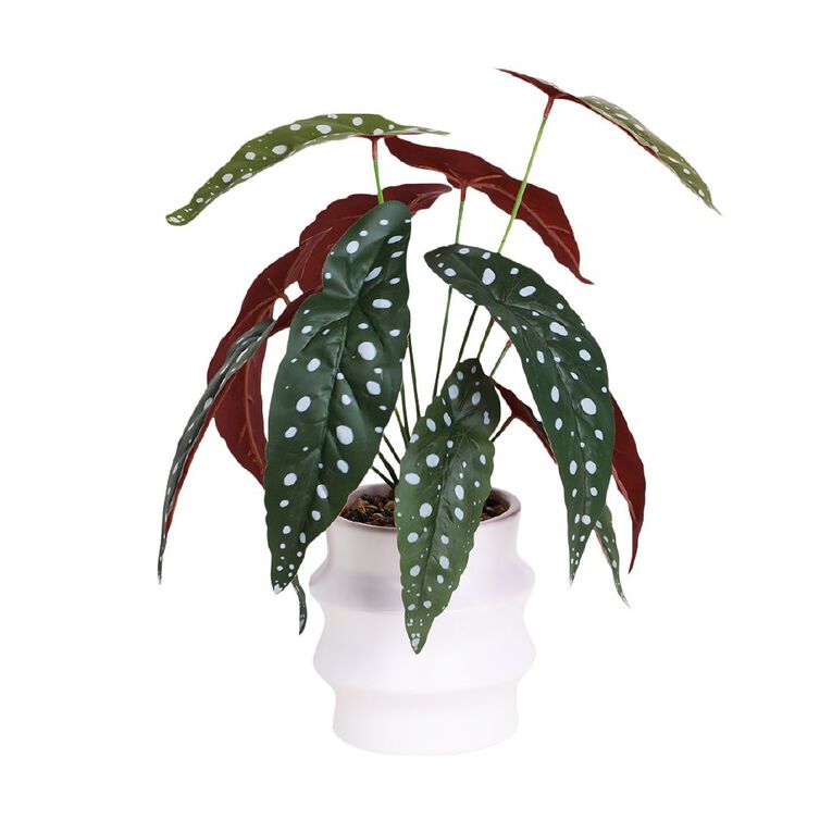 Living & Co Artificial Plant in Wavy Pot, , hi-res