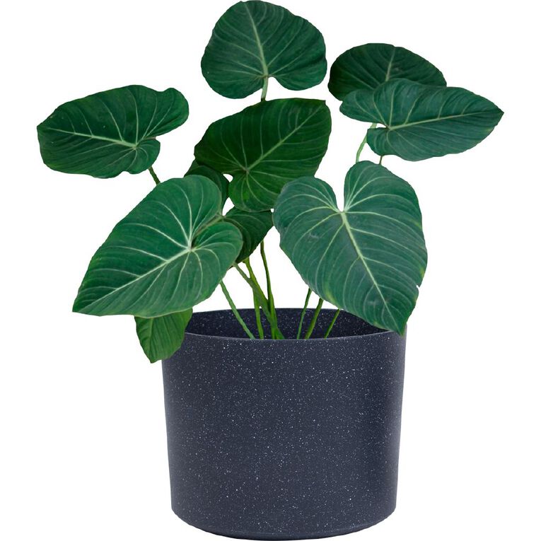 Kiwi Garden 2 in 1 Planter 36cm x 42cm Grey, , hi-res