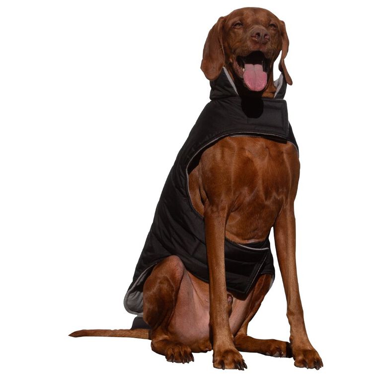 Petzone All Weather Jacket XL, , hi-res