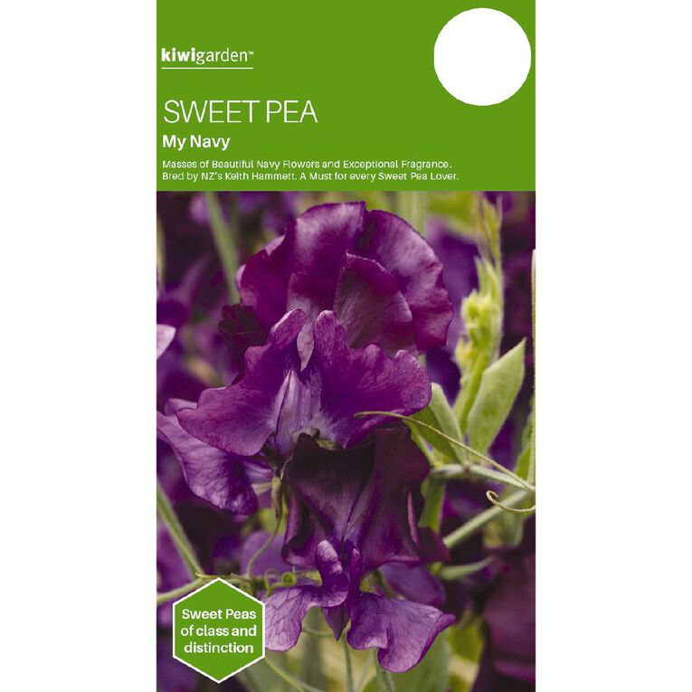Kiwi Garden Sweet Pea My Navy Seeds, , hi-res