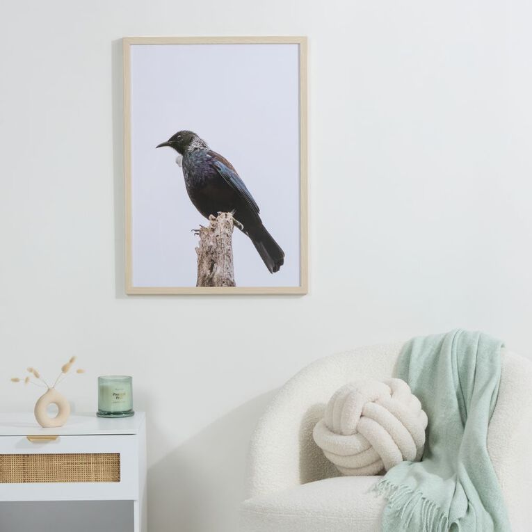 Living & Co Tui Framed Print 50cm x 70cm, , hi-res