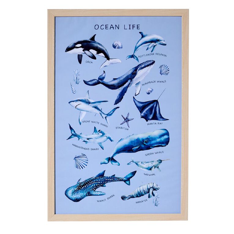Living & Co Kids Ocean Life Framed Print 40x60cm, , hi-res