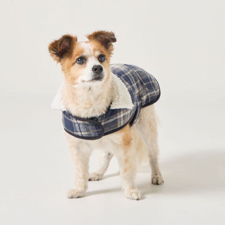 Petzone Check Jacket Blue Medium, , hi-res