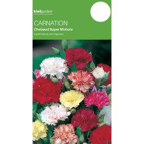 Kiwi Garden Carnation Chabaud Mix Seeds