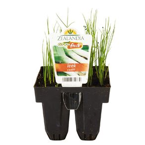 Growfresh Leek Cardiff