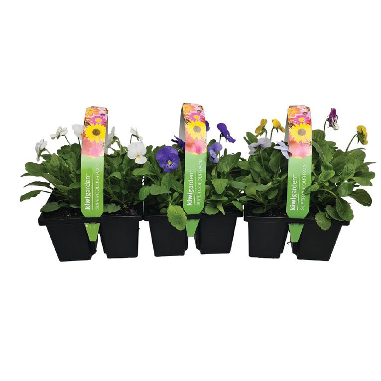 Super Colour 4 Pack, , hi-res