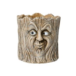 Kiwi Garden Plant Pot With Tree Face