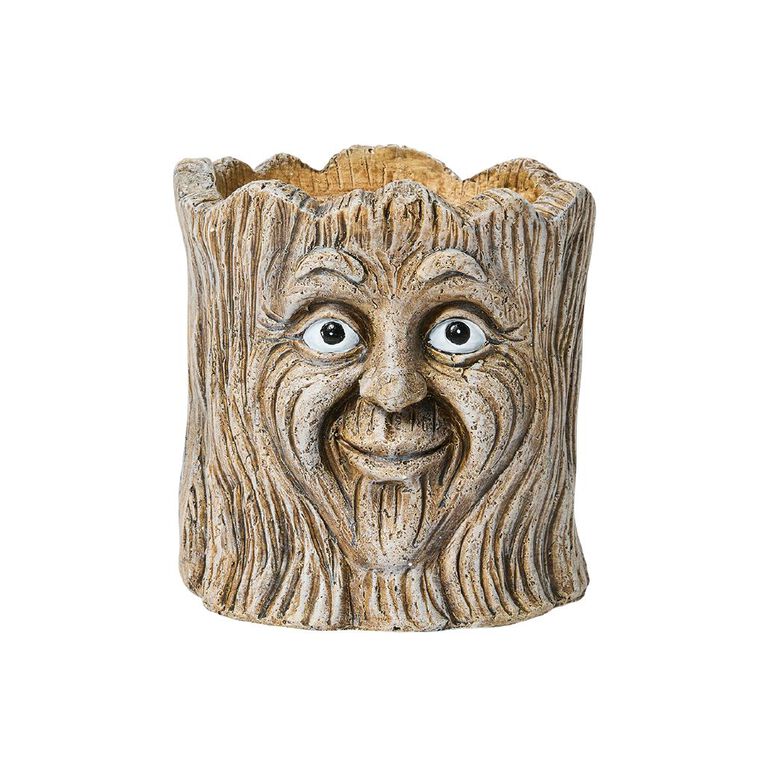 Kiwi Garden Plant Pot With Tree Face, , hi-res